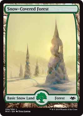 冠雪の森