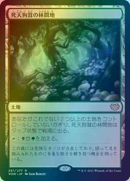 死天狗茸の林間地