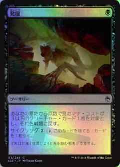 発掘