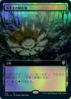 下生えの競技場(拡張)