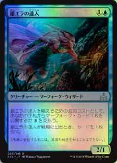 銀エラの達人