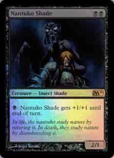 ナントゥーコの影