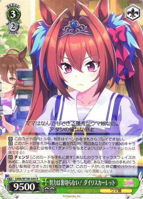 努力は裏切らない！ ダイワスカー...