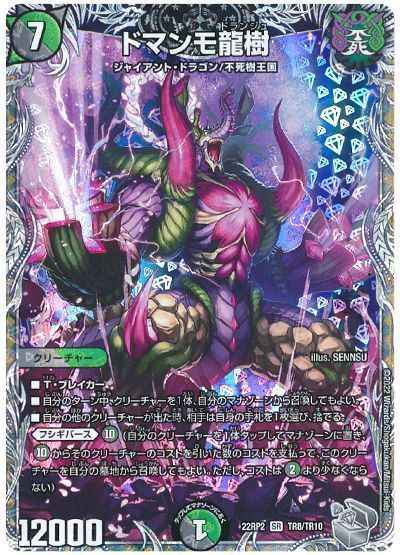 ドマンモ龍樹