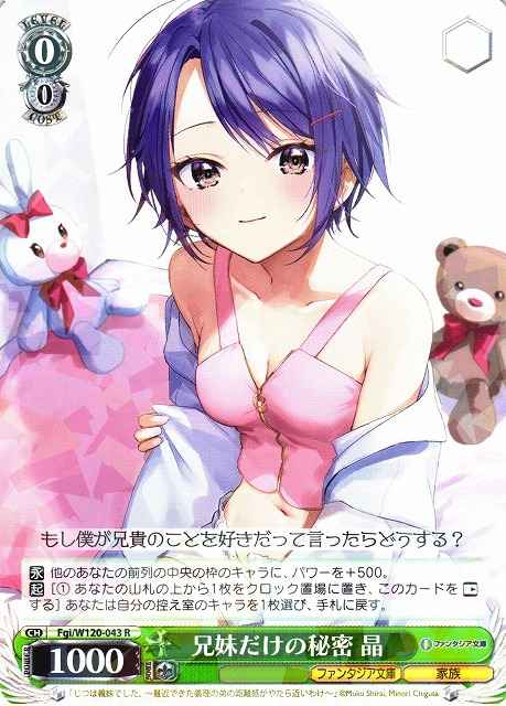 兄妹だけの秘密 晶