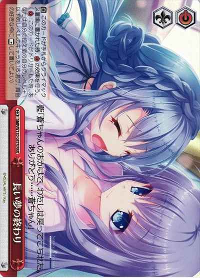 長い夢の終わり