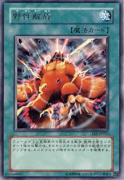 野性解放