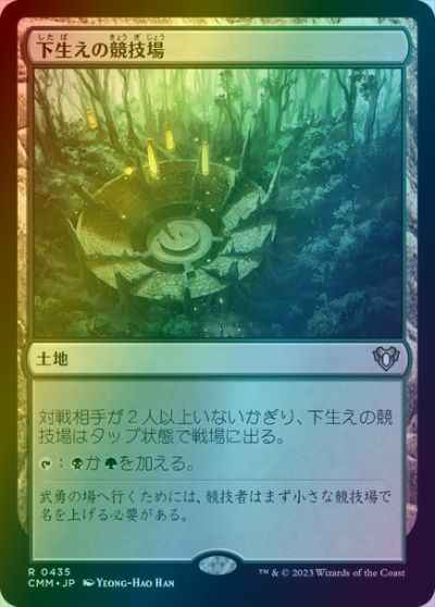 下生えの競技場