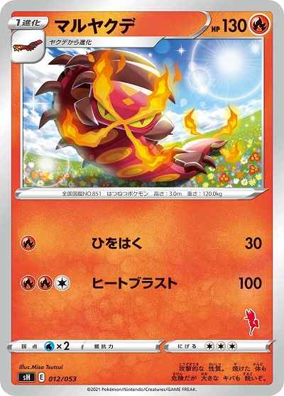 マルヤクデ(エースバーン)