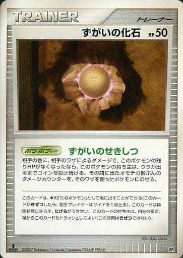 ずがいの化石