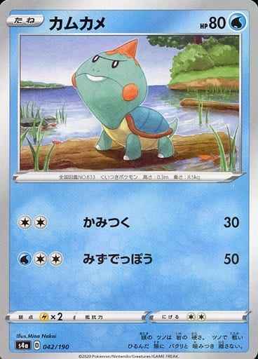 カムカメ(ミラー)
