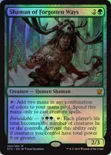 失われた業の巫師