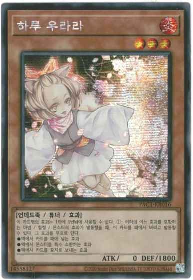 灰流うらら 韓国語版 PAC1-KR016 シークレット