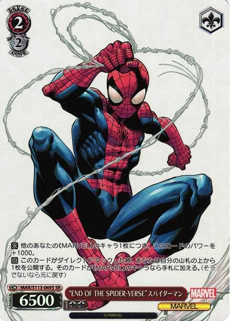 “END OF THE SPIDER－VERSE”スパ...