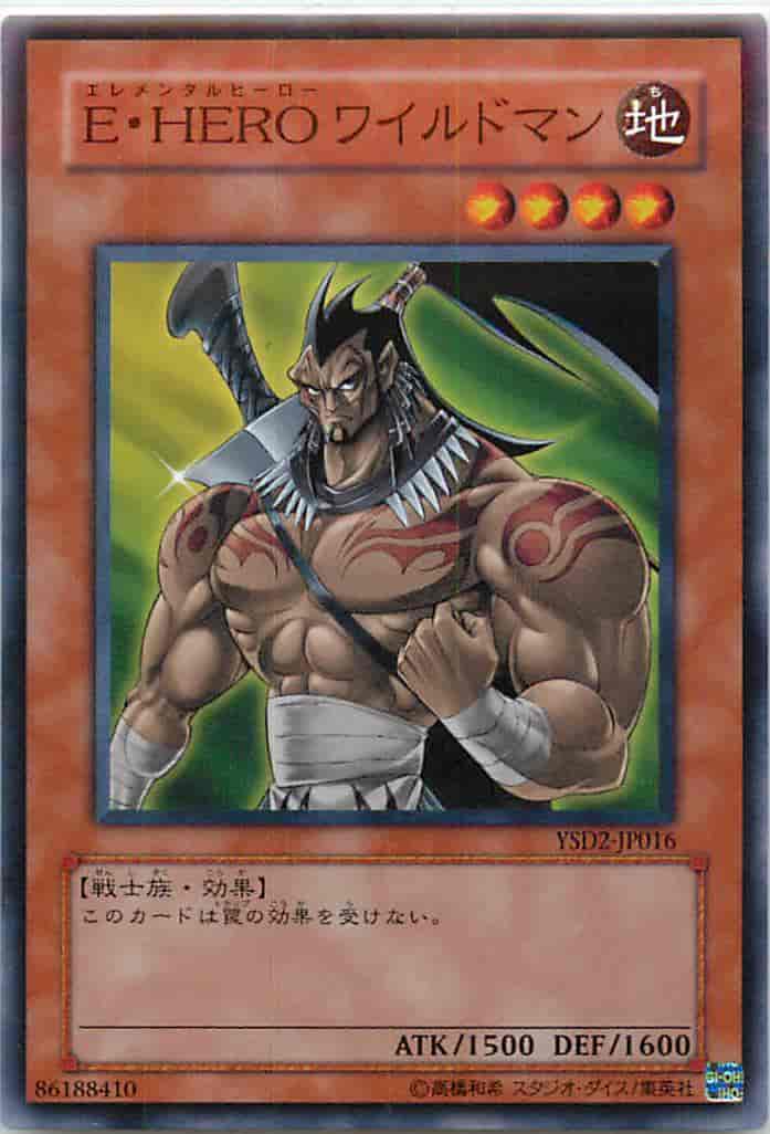 Ｅ・ＨＥＲＯ ワイルドマン