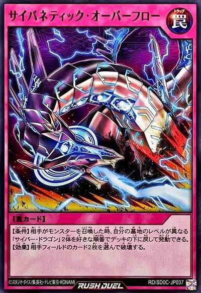 サイバネティック・オーバーフロー