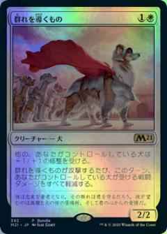 群れを導くもの