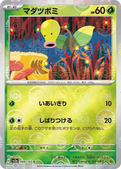 マダツボミ(ミラー)