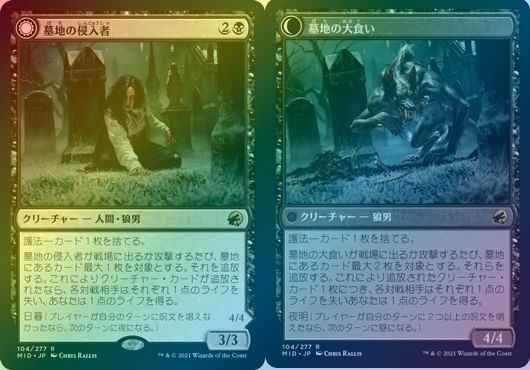 墓地の侵入者
