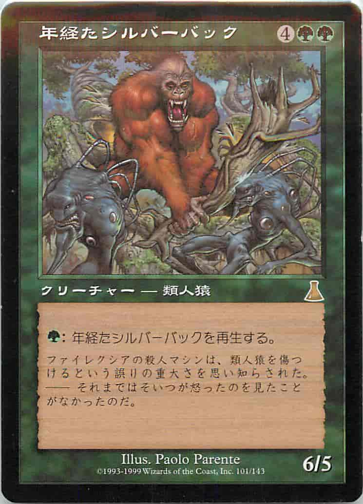 年経たシルバーバック