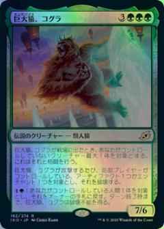 巨大猿、コグラ