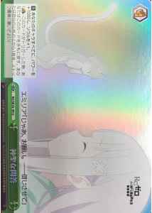 神聖な問答 (Foil)