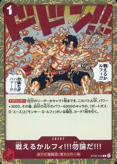 戦えるかルフィ!!!勿論だ!!!