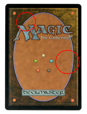 ランクB_MTG
画像2